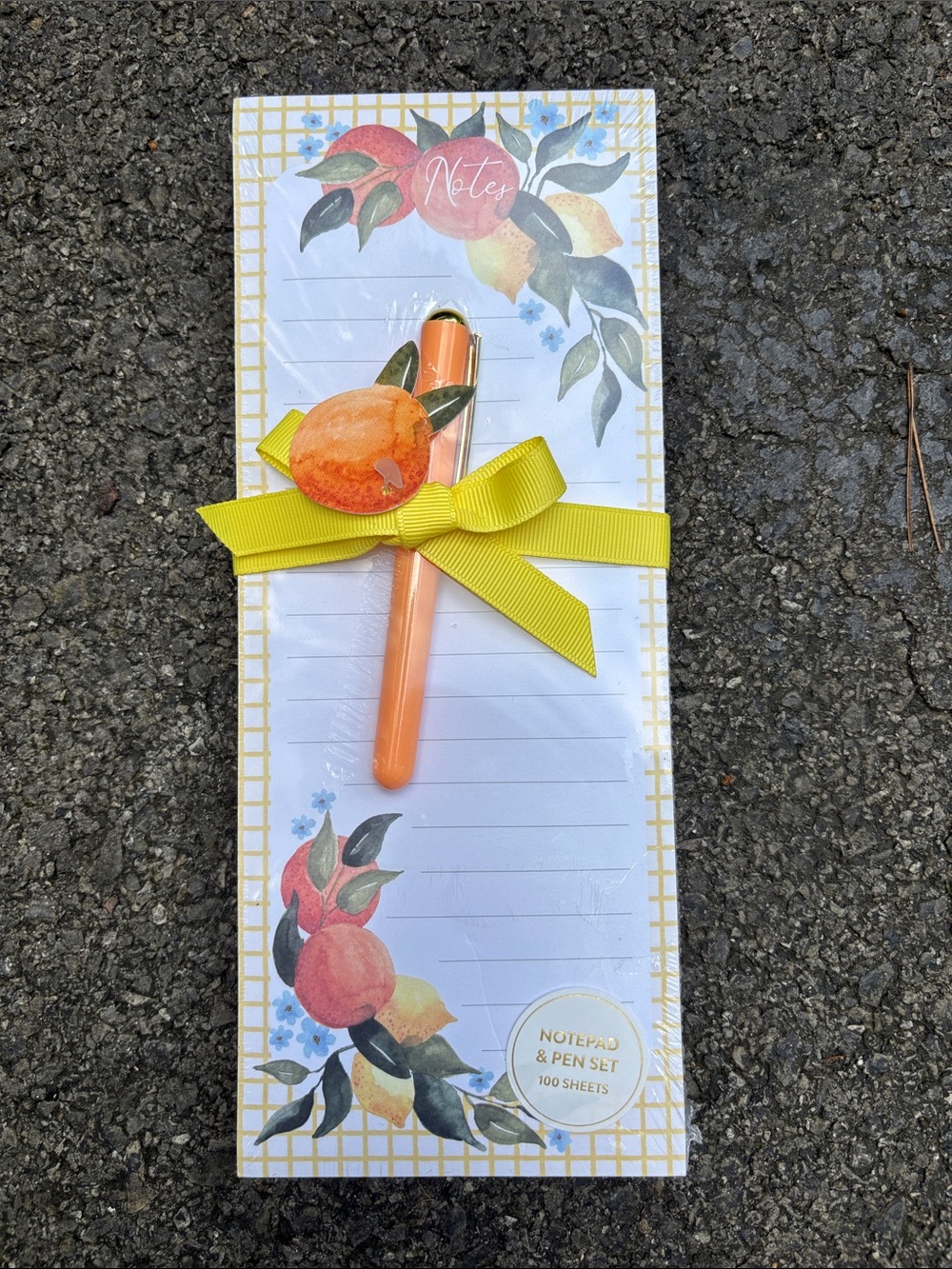 Beth Schneider Citrus Orchard Lined Notepad & Pen Set - (100 Sheets)